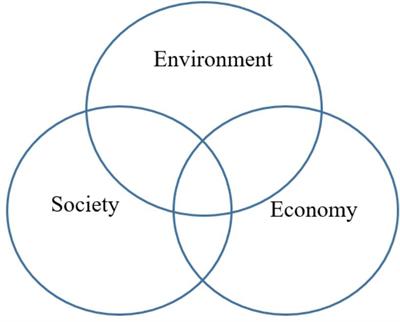 The Weak Sustainability of the Salmon Feed Transition in Norway – A Bioeconomic Case Study